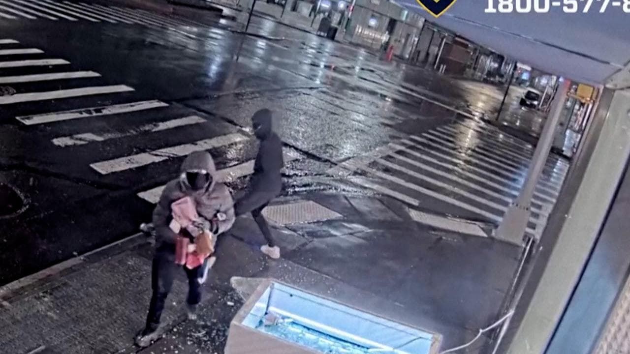 New York, sfondano la vetrina con un martello e rubano otto borse dal valore di 240 mila dollari