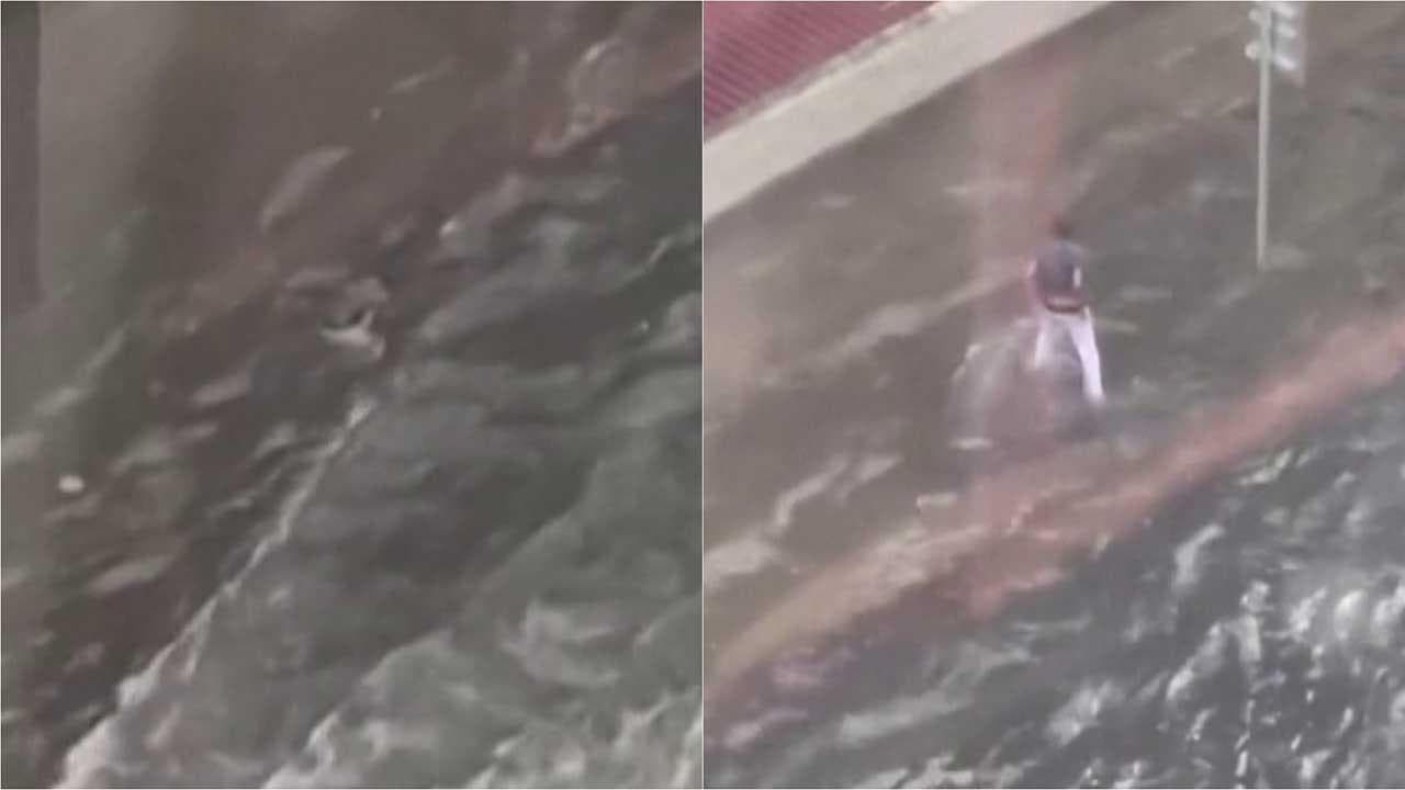 Florida, la strada è inondata dalle piogge: il pedone si tuffa e prosegue a nuoto