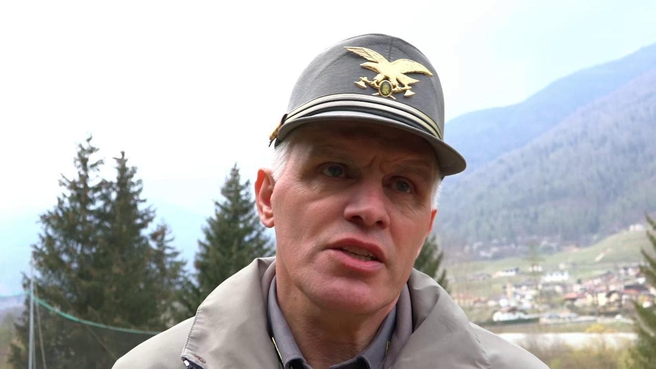 Trentino, le autorità locali: "Finché non sarà catturata l'orsa, sconsigliata ogni attività in parte della Val di Sole"