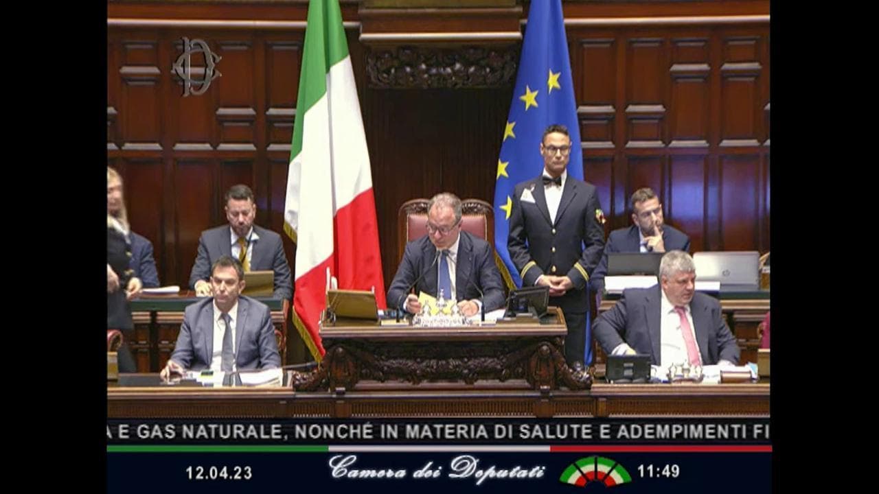 Confusione al momento del voto alla Camera, Mulé sconsolato: "Facciamo il remake di Tom e Jerry"