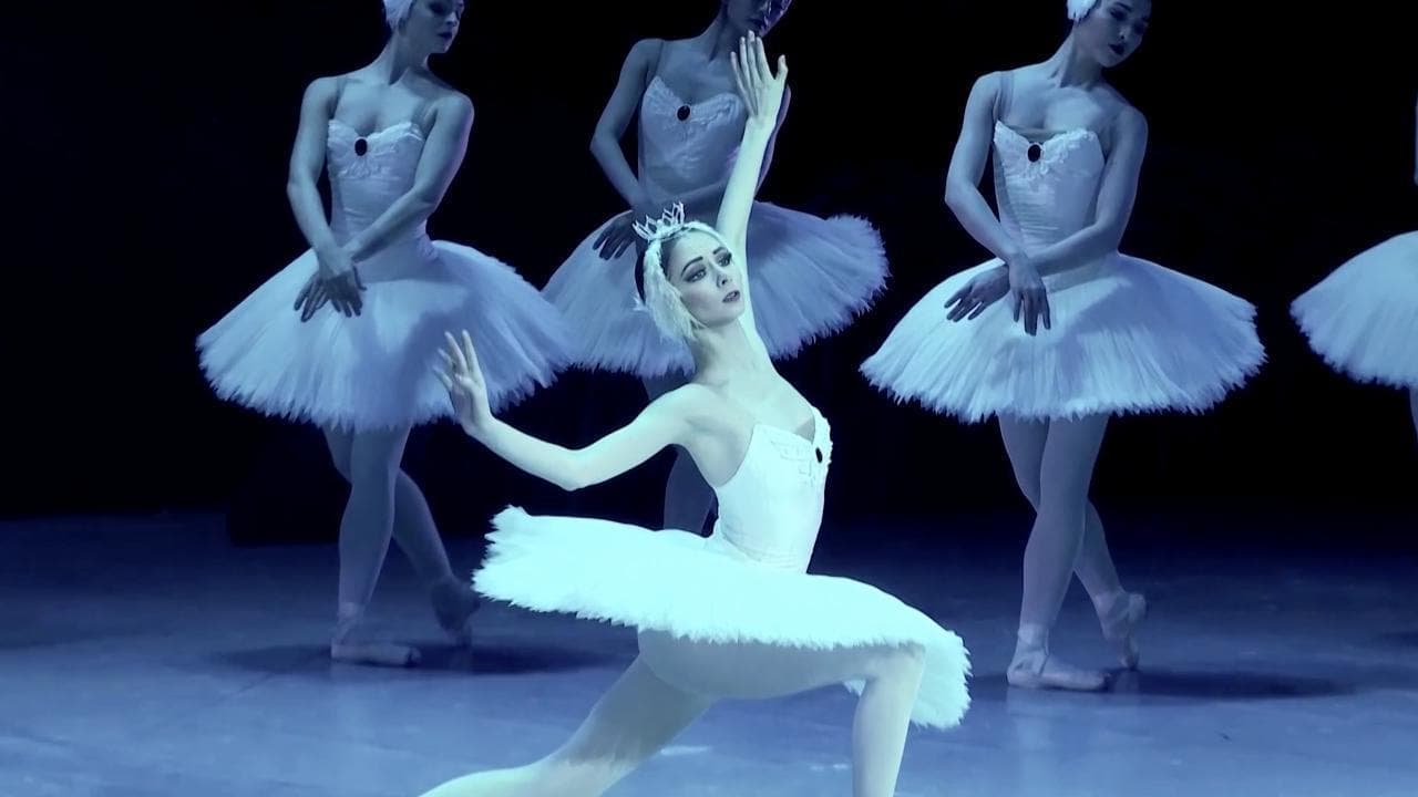 La ballerina scappata da Kiev torna sul palco: "Pensavo che non avrei più danzato. Ma in Ucraina non torno"