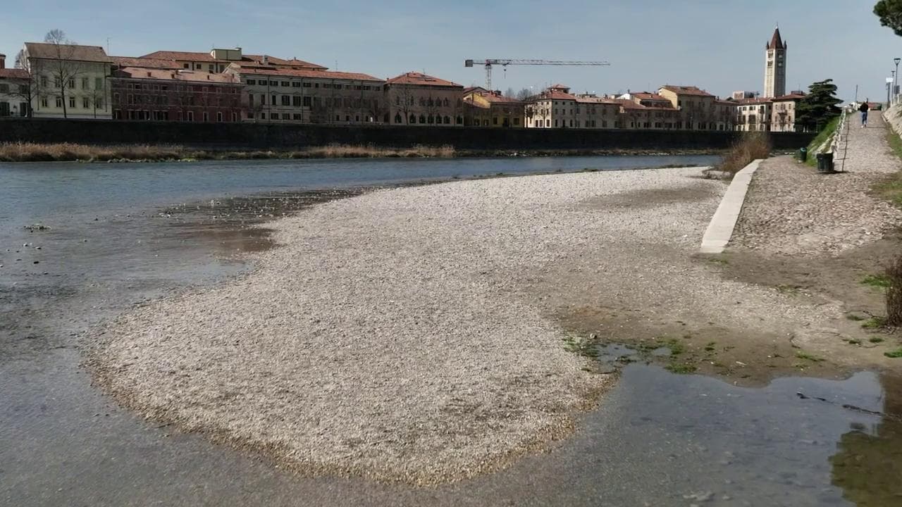 Siccità, il fiume Adige si ritira a Verona: sotto il Ponte di Castelvecchio spunta una 'spiaggia'