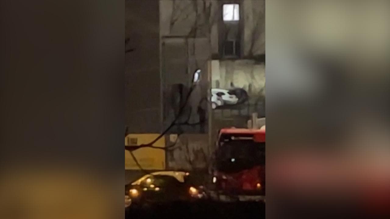 Amburgo, strage in una chiesa di Testimoni di Geova: un uomo riprende con il cellulare la sparatoria