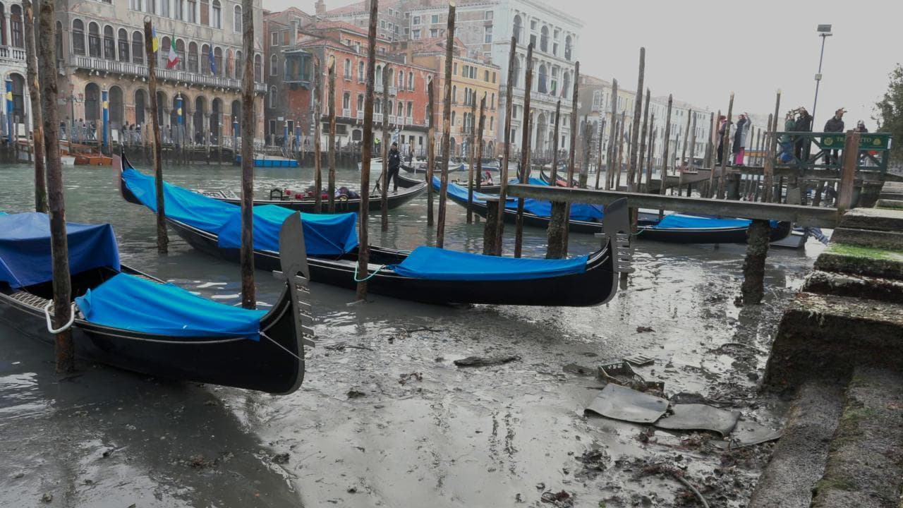 Venezia, la bassa marea eccezionalele oscura il carnevale: le immagini del Canal Grande fanno impressione