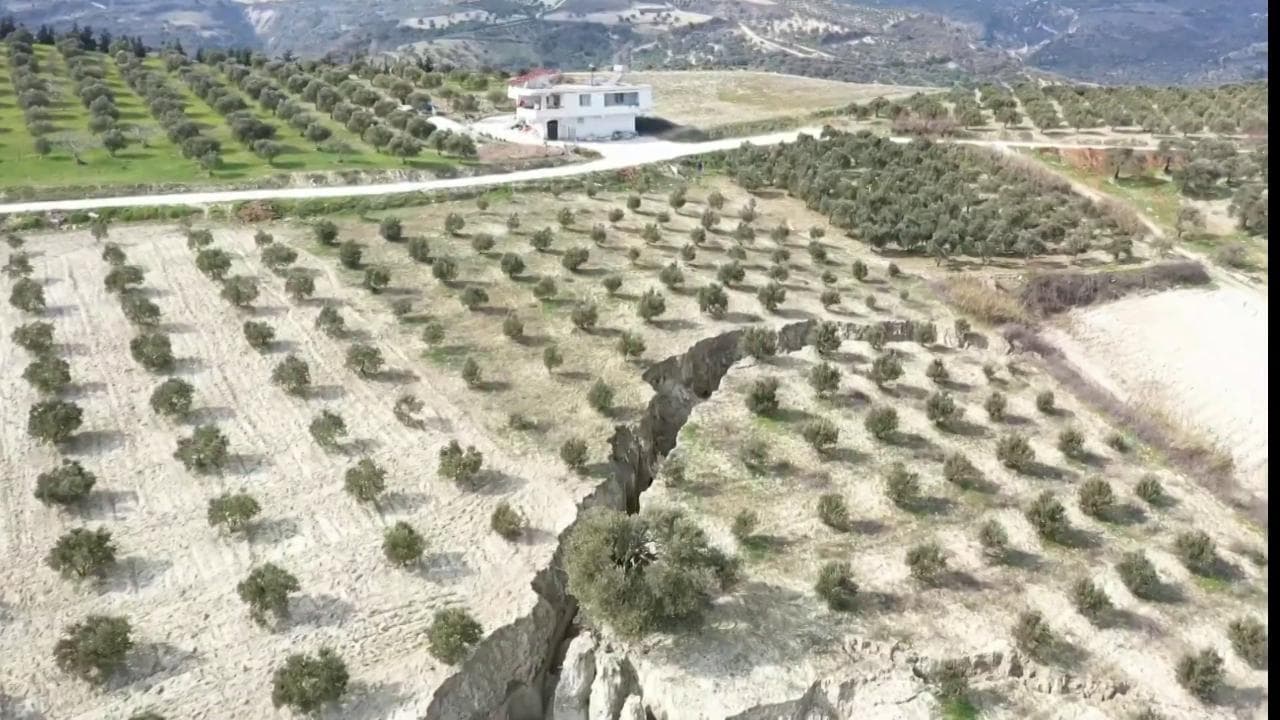 Turchia, il campo di ulivi spaccato in due dal terremoto