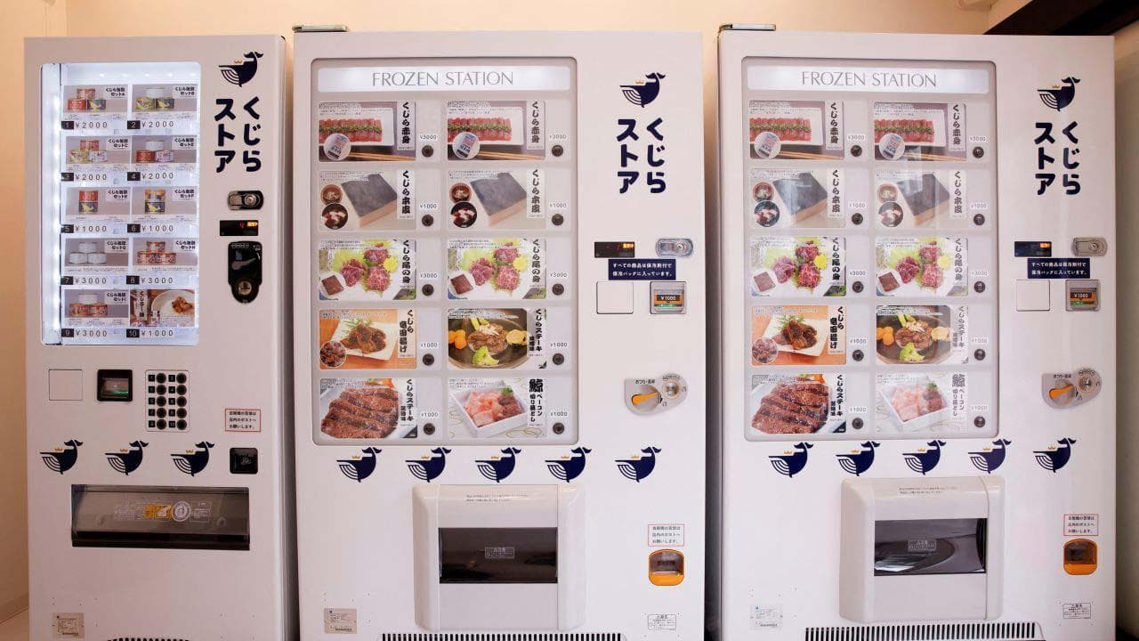 Le balene finiscono nei distributori automatici: ecco le macchinette che vendono la loro carne a 7 euro