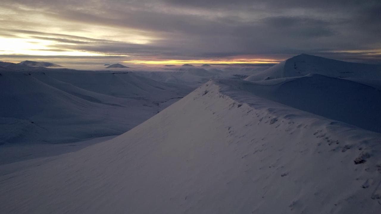 Loop Svalbard