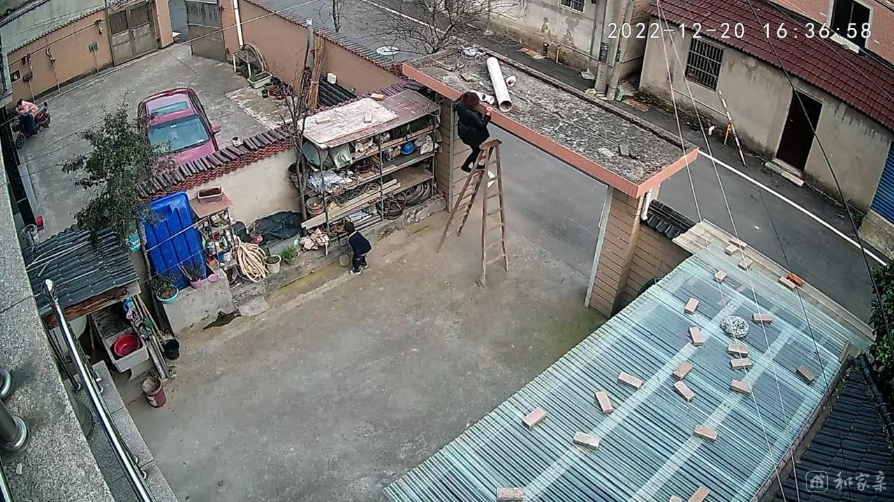 Il gesto eroico del nipotino: salva la nonna rimasta in bilico nel vuoto usando tutta la sua forza