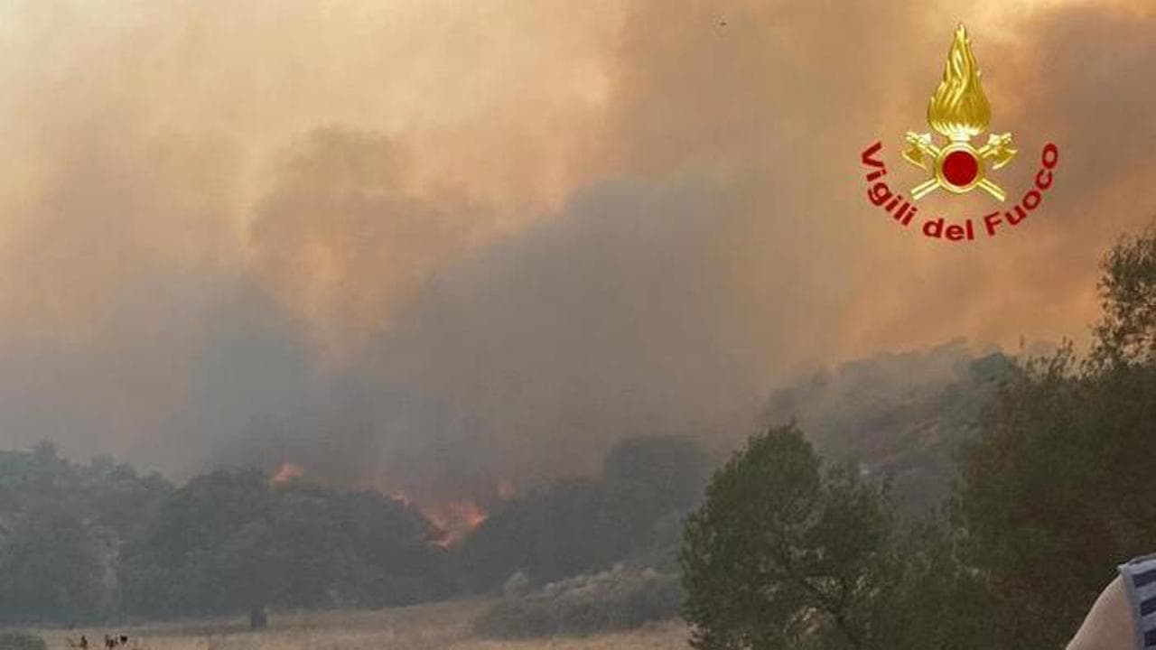 Incendio nel Nuorese, oltre 450 ettari di oliveti secolari e macchia mediterranea in fumo