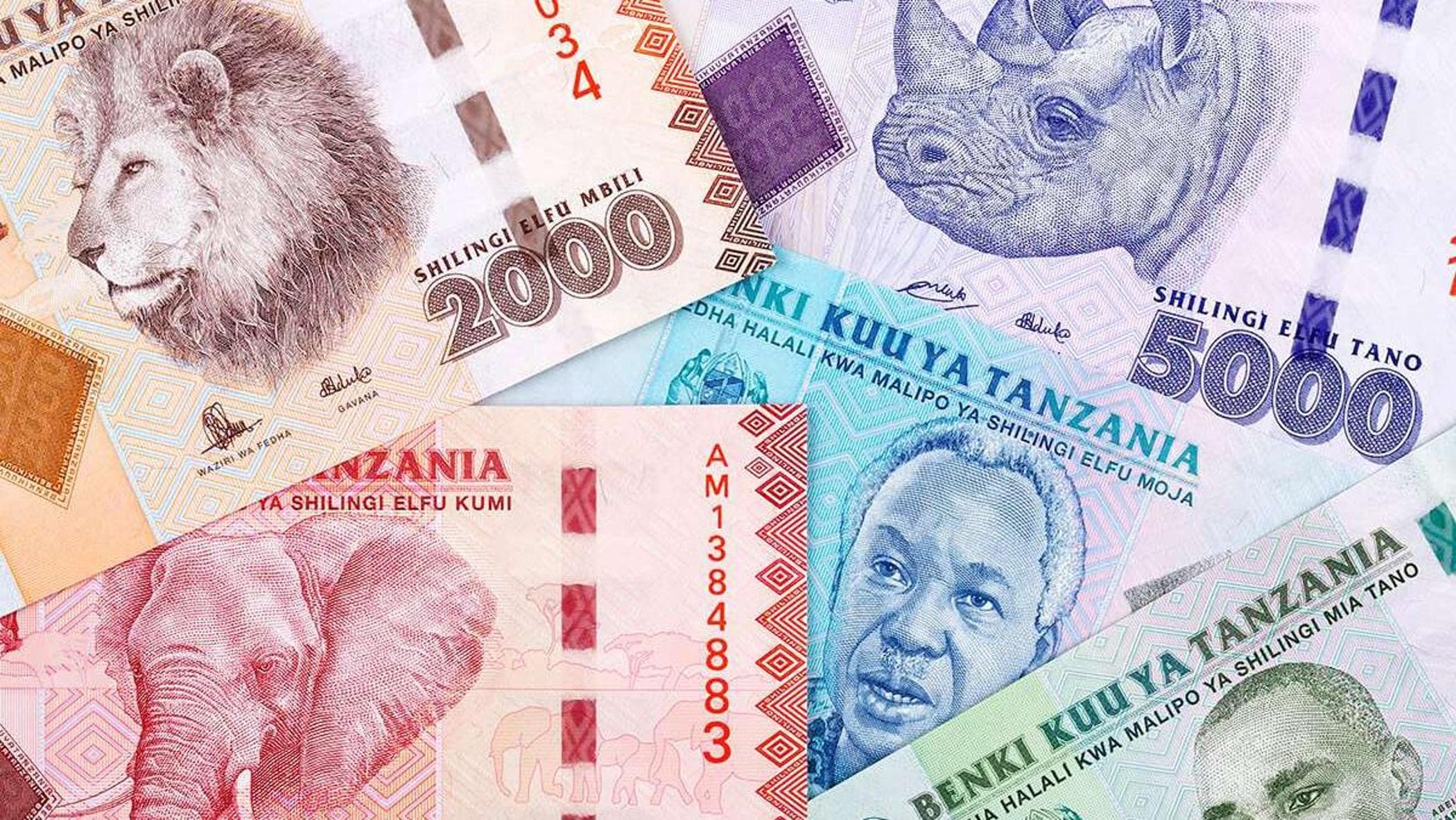 Tanzanya: Turizm, vergiler ve harçlar artık dolar yerine yerel para birimi olan şilinle ödenecek