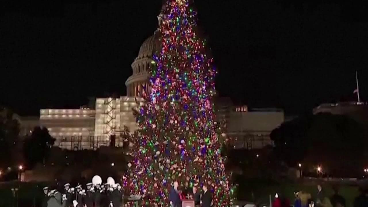 Usa, Nancy Pelosi accende l'albero di Natale a Capitol Hill