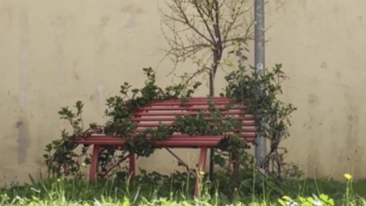 E ora che succede? Le donne vittime di violenza e la paura di denunciare: come aiutarle