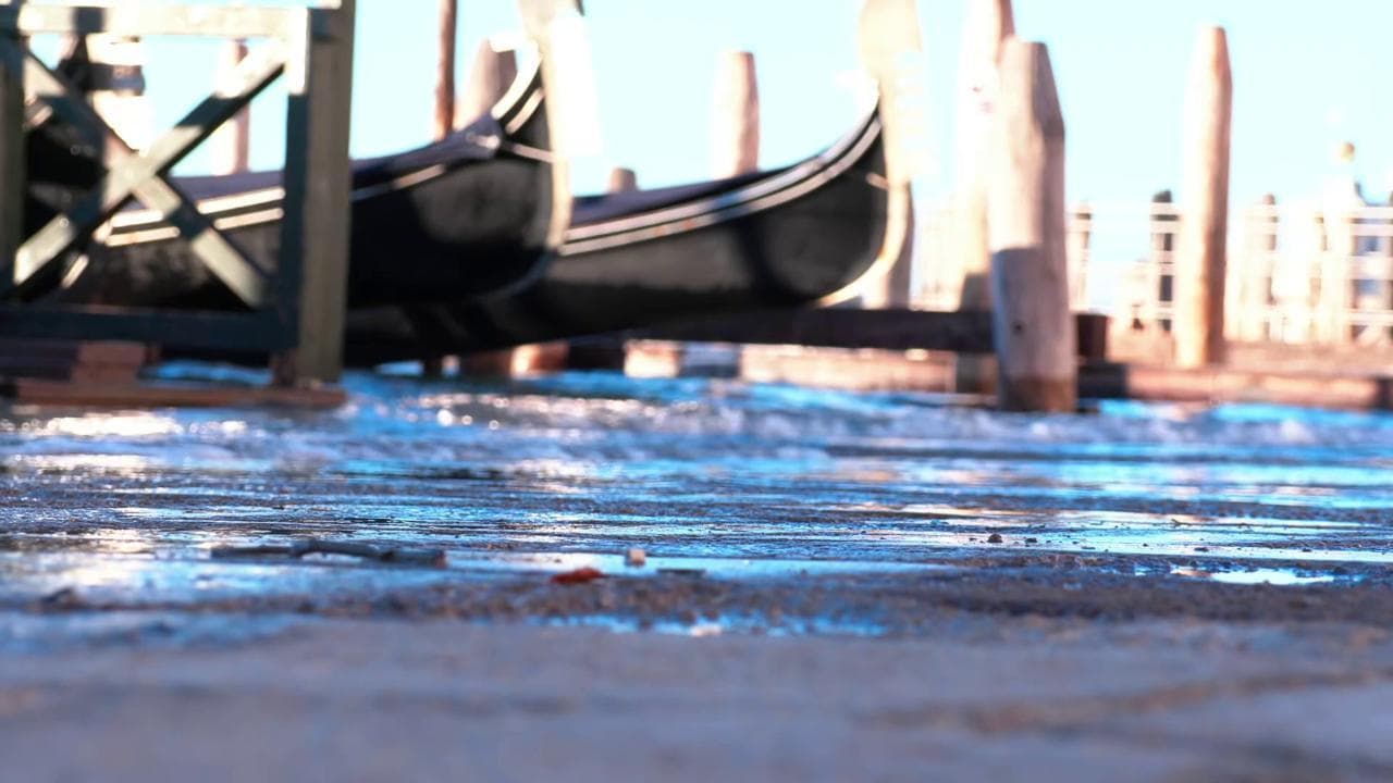 Acqua alta a Venezia, 20 centimetri in piazza San Marco