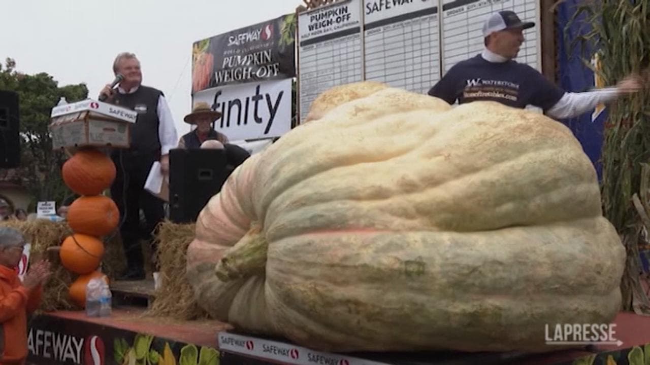 Usa: coltivata zucca da record, pesa oltre 1.100 kg. Ma il vero record è di un italiano