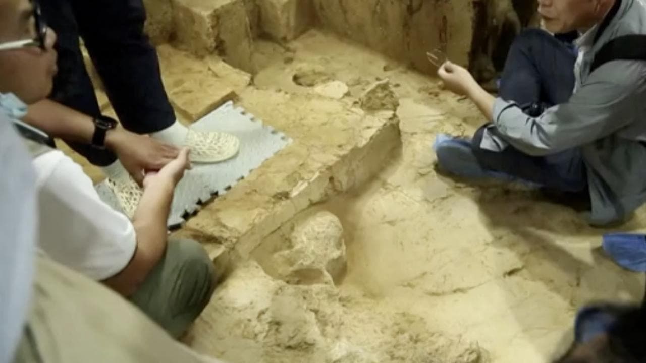Paleoantropologia, ritrovato in Cina un cranio (di un milione di anni fa) dell'Homo erectus