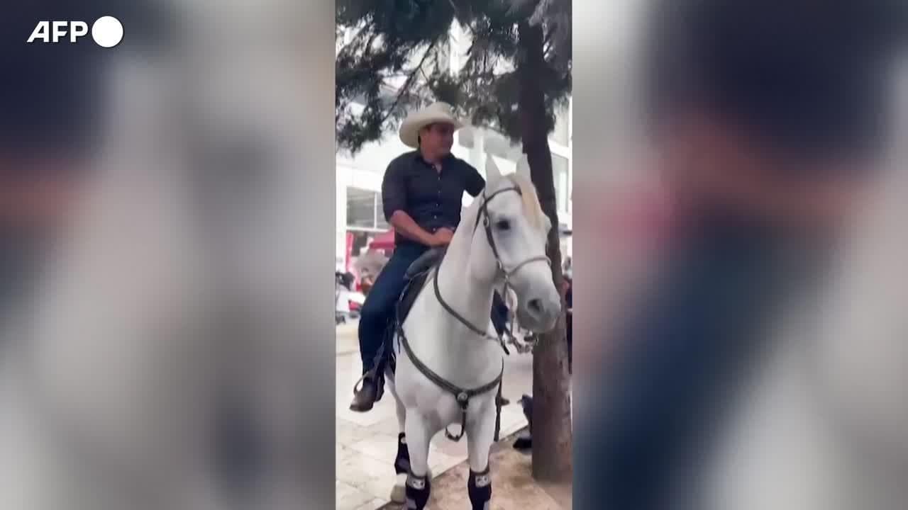 Colombia, senatore arriva in parlamento a cavallo "Un omaggio a tutti coloro che lavorano nei campi"