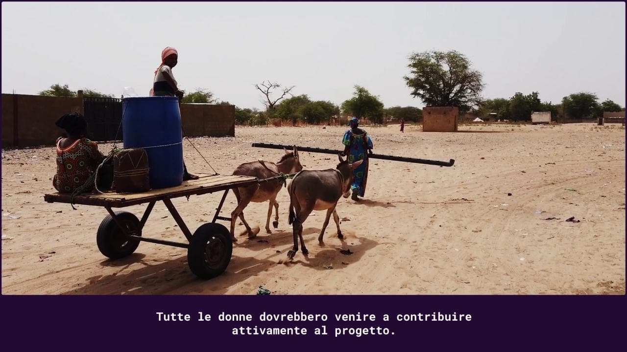 Sahel, viaggio nelle "terre aride": con la tecnologia idroponica il Senegal torna di nuovo a coltivare