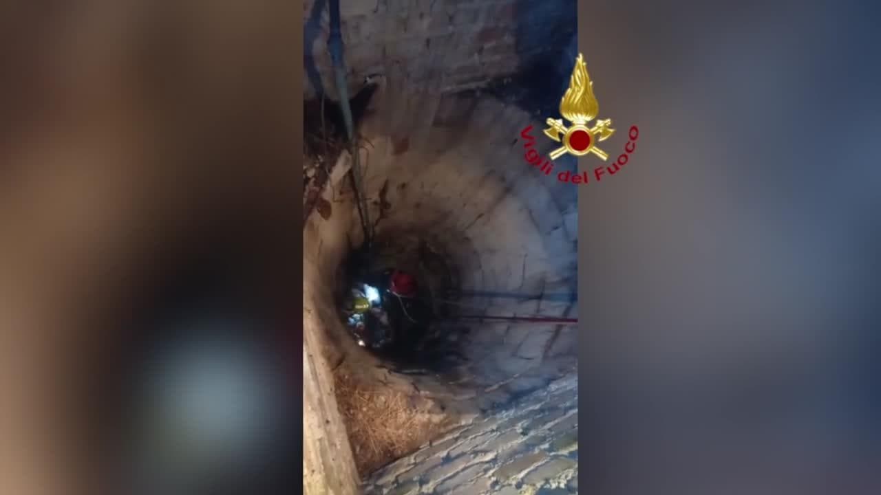 Ancona, cade in un pozzo di sei metri: i vigili del fuoco si calano con la fune per salvarlo