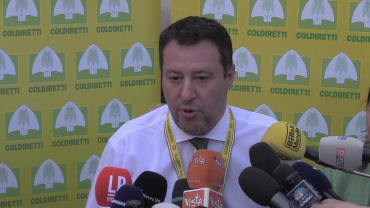 Salvini: "Crisi di governo dettata dalla Russia? E' fake news"
