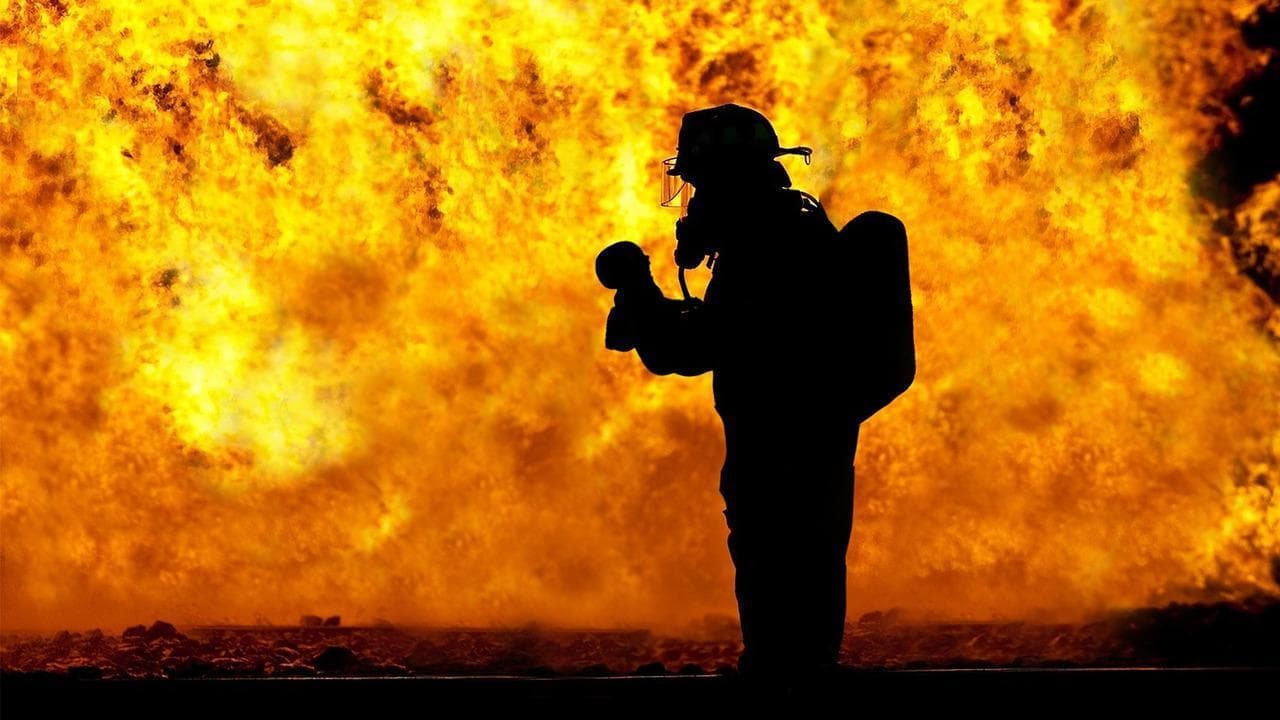 Quando e come è possibile prevenire un incendio. Le foreste bruciate sono perdute per sempre?
