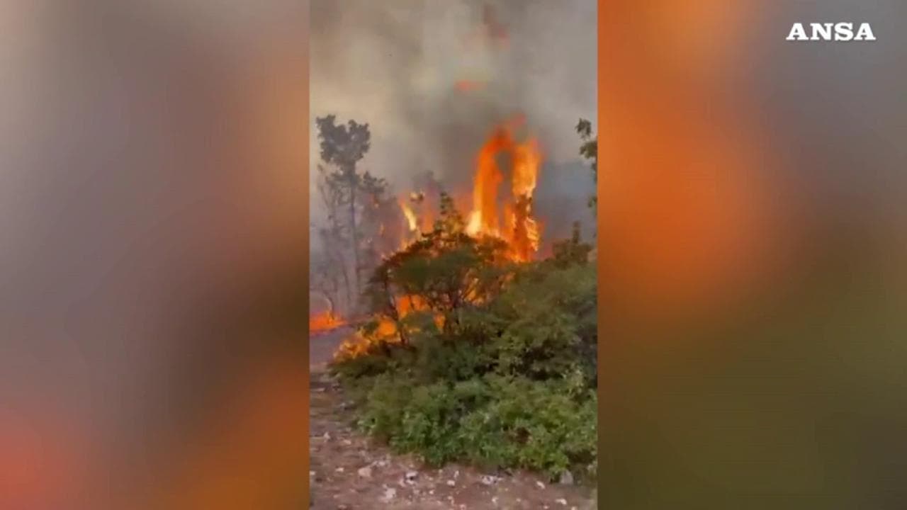 Incendio Carso, i vigili del fuoco difendono le case dalle fiamme