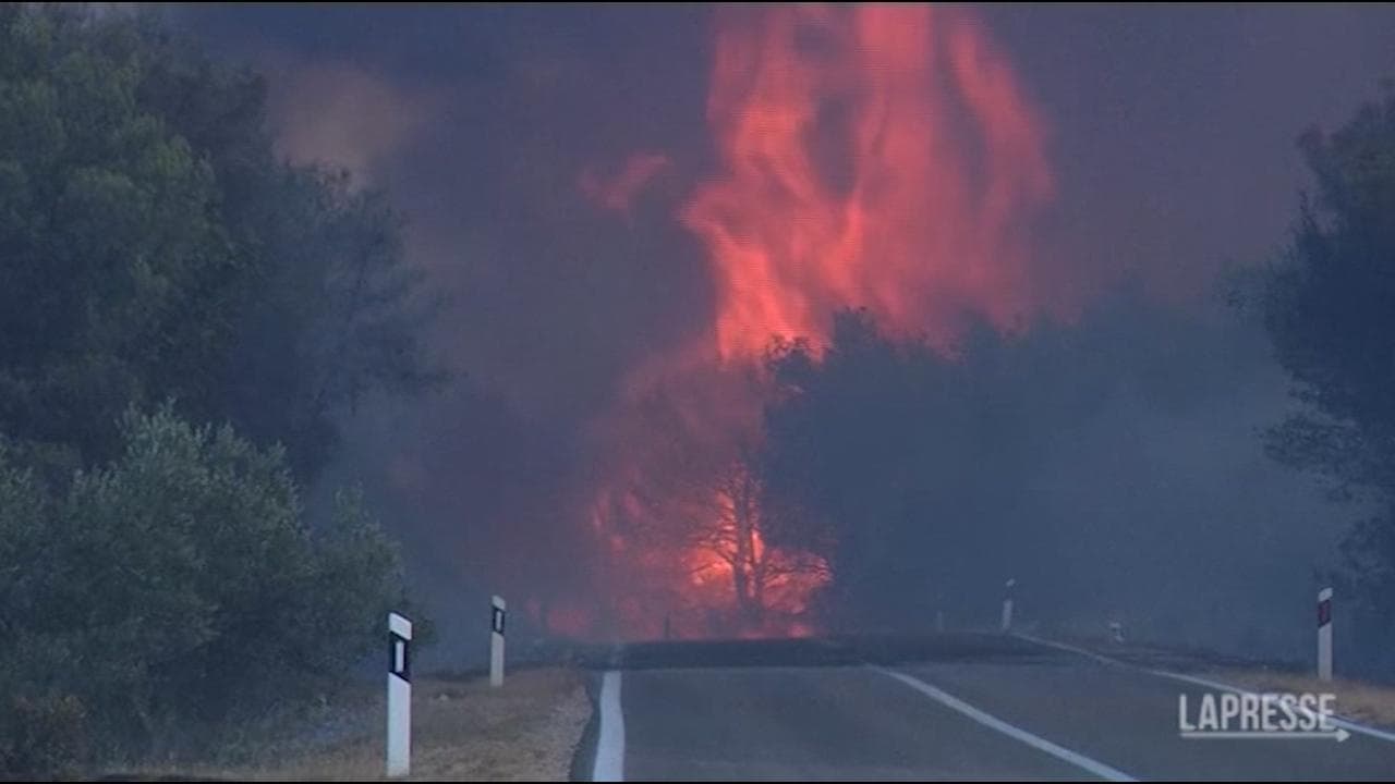 Croazia, incendi devastano la costa adriatica: a Vodice le fiamme raggiungono le case