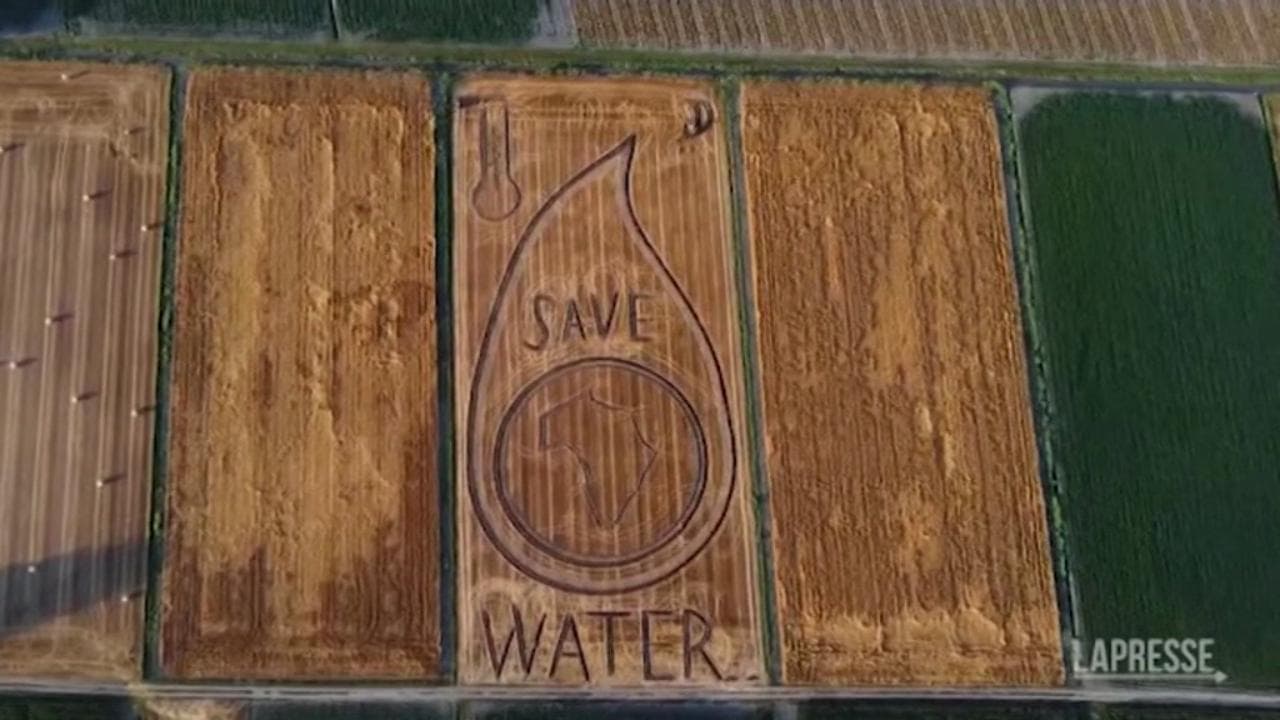 Siccità, il messaggio disegnato dall'artista veneto Gambarin in un campo di grano: "Save the water"