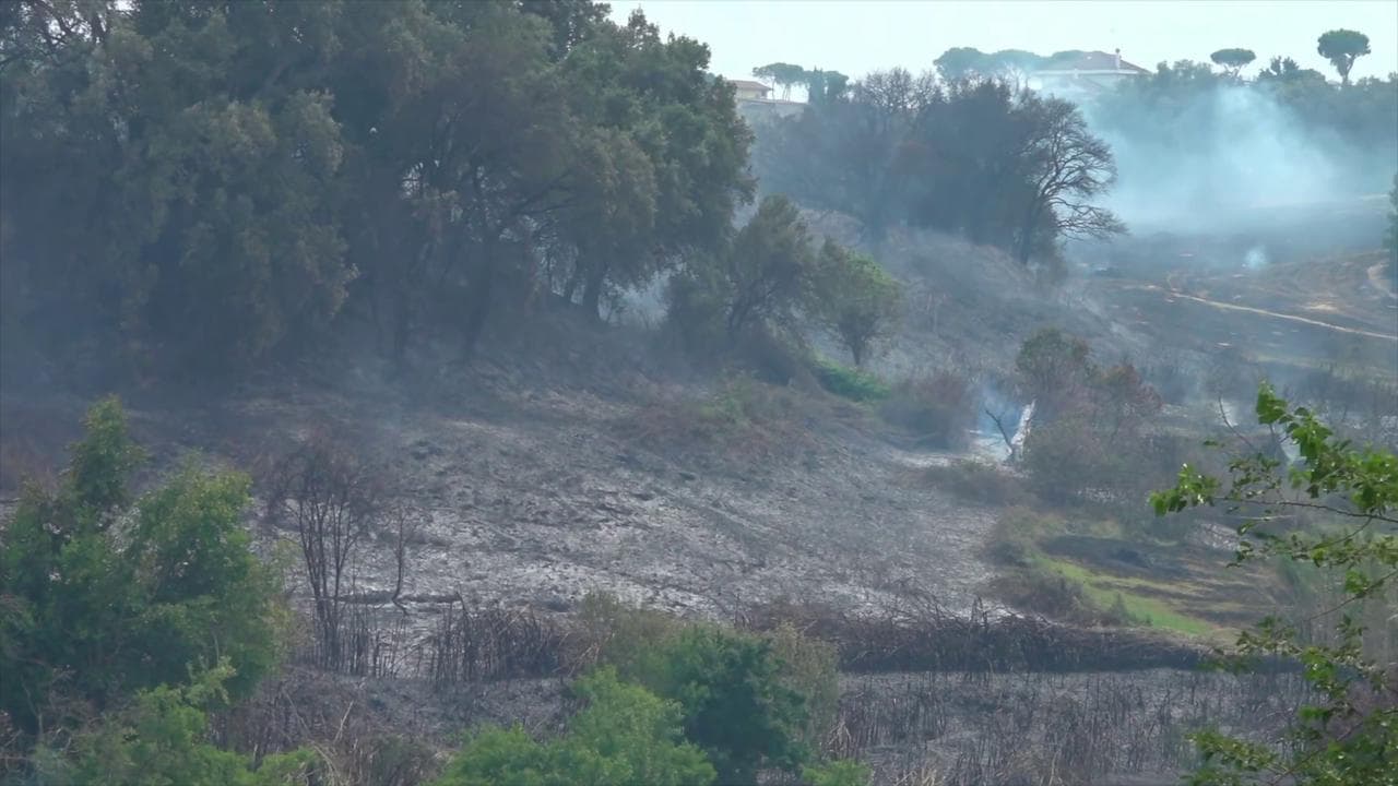 Vasto incendio a Roma: anche i residenti scendono in strada con secchi d'acqua per domare le fiamme