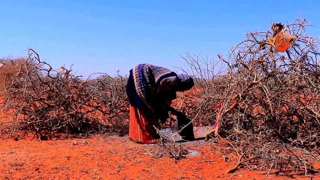 Mancini (MSF): "Con la crisi alimentare e la siccità rischio di massicce migrazioni. L'Europa intervenga in Africa come per l'Ucraina"