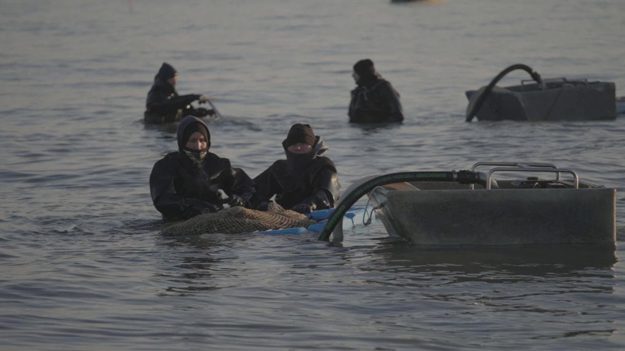 'Fortuna granda', il doc. Quattro giovani pescatori di vongole sul Delta del Po