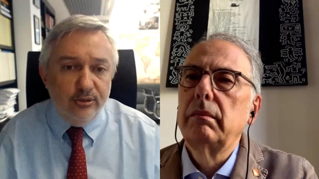Dialogo Molinari-Felicetti (Lav): una vera democrazia rispetta tutti gli esseri viventi