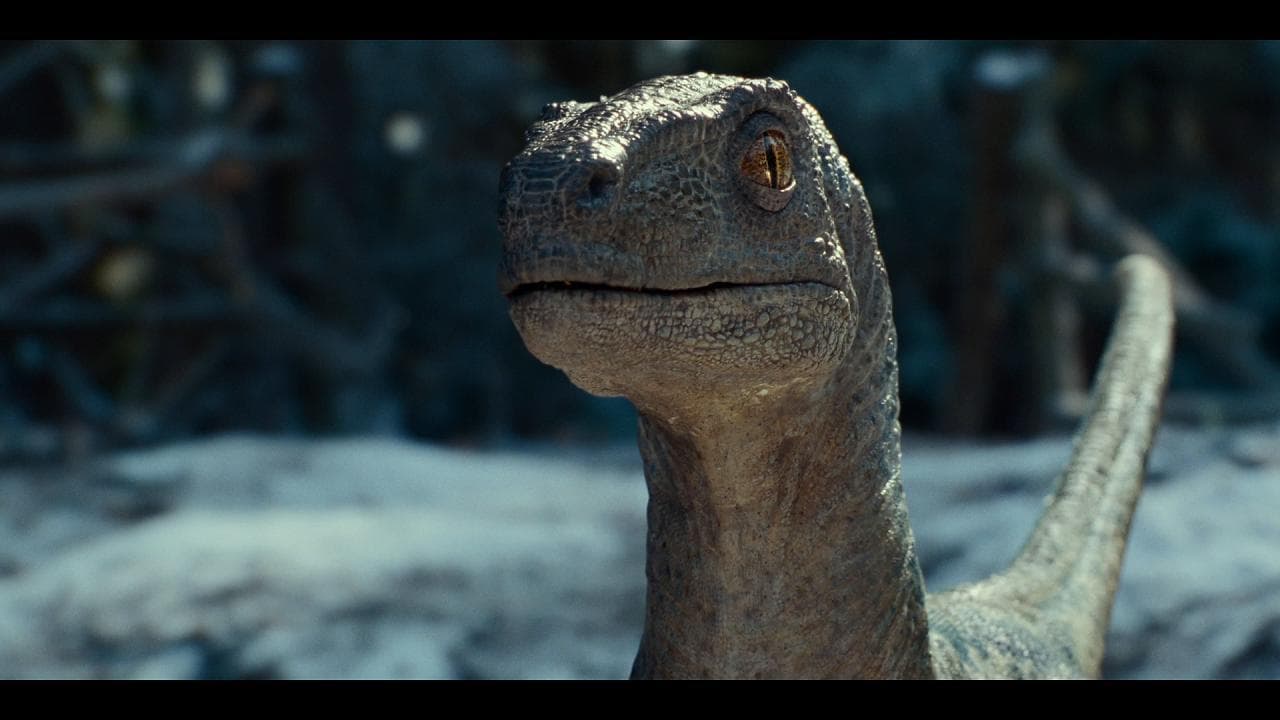Dinosauri senza fine: arriva 'Jurassic World: Il dominio'