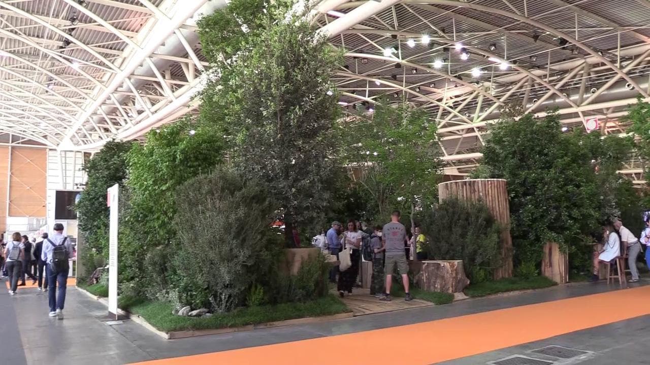 Salone del Libro di Torino 2022, il Bosco degli Scrittori: 1000 piante in 200 metri quadri, la natura tra i libri