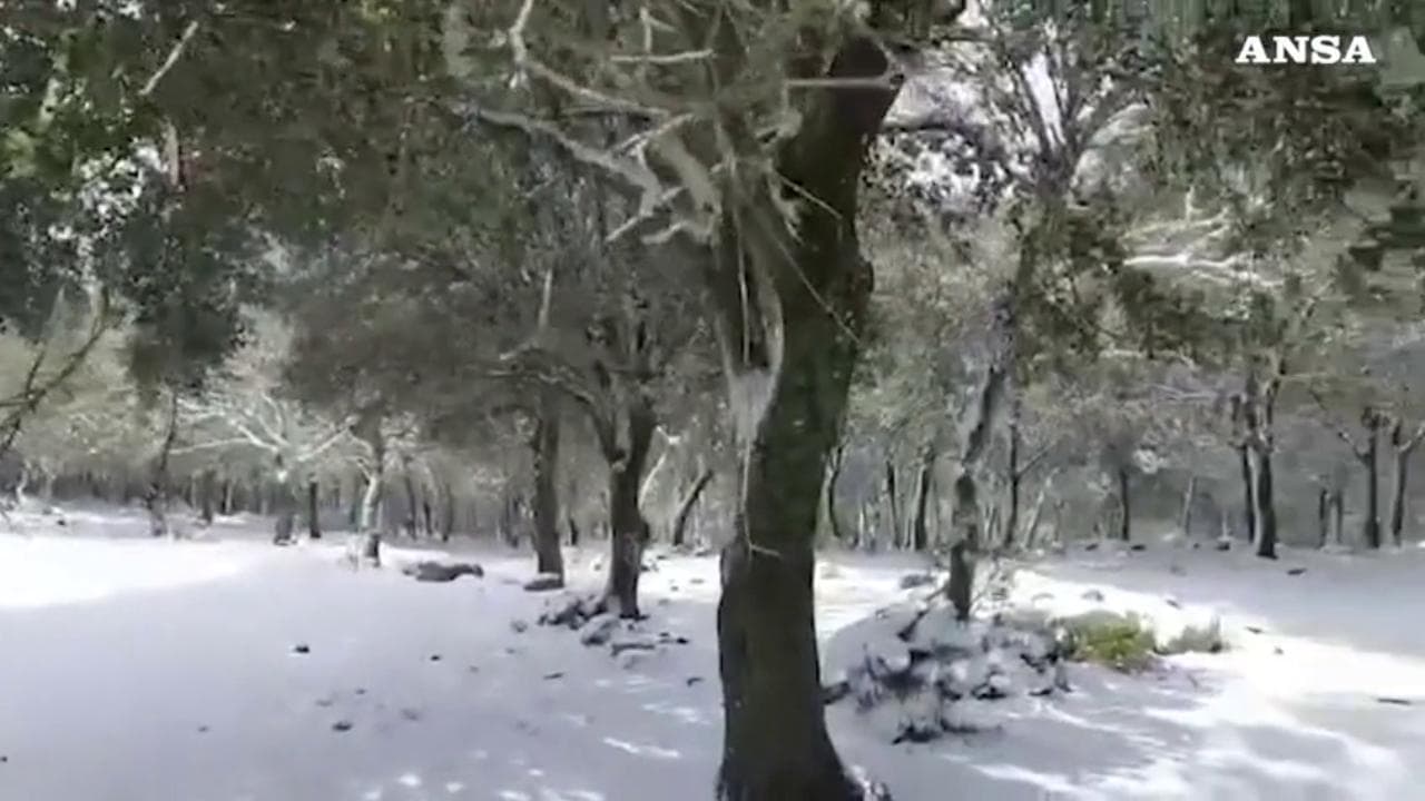 Maltempo, la Sardegna si sveglia con la neve: fiocchi bianchi anche al Sud