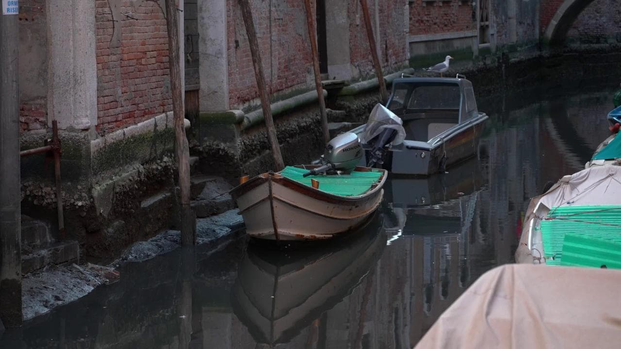 Venezia, stavolta è allarme acqua bassa: barche a livello del fondale con picco record a -48 cm