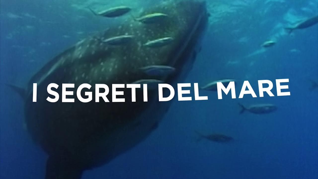 Piero Angela, 'I segreti del mare', lo show per scoprire le meraviglie sottomarine