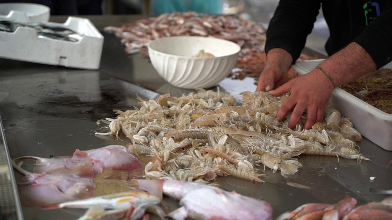 Caro gasolio, la protesta dei pescatori a Bari: "Con questi prezzi non possiamo lavorare"