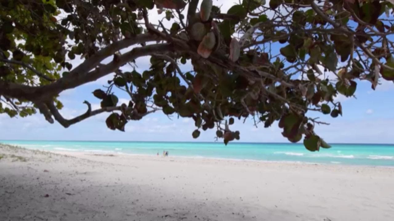 Le 10 migliori spiagge del mondo per il 2022 secondo Tripadvisor (c'è anche un'italiana)