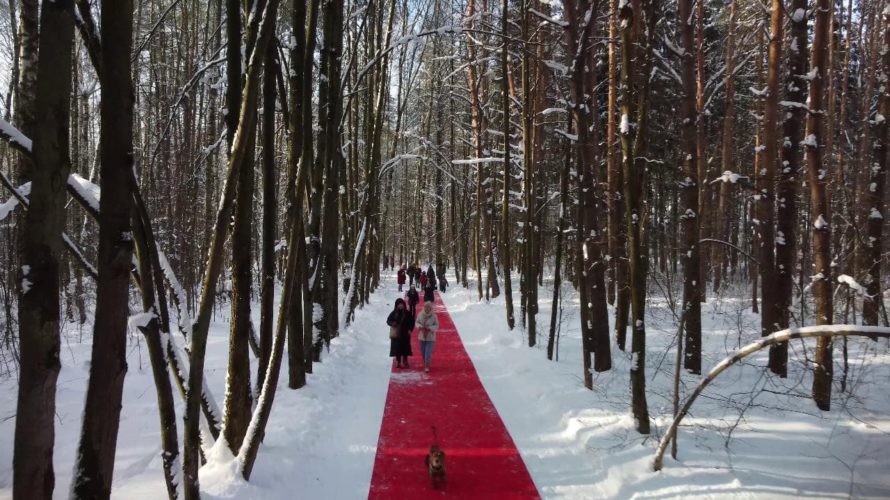 Una sottile linea rossa nella foresta di Mosca. L'installazione del russo Gregory Orekhov