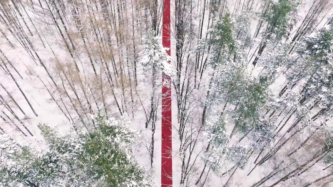 Un red carpet nel parco di Mosca. L'opera del russo Gregory Orekhov (che è contro la guerra)