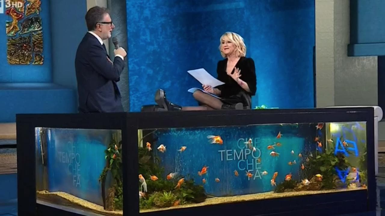 La letterina di Luciana Littizzetto ai Grandi elettori: "Siete dei balenghi, non fate ridere nessuno"