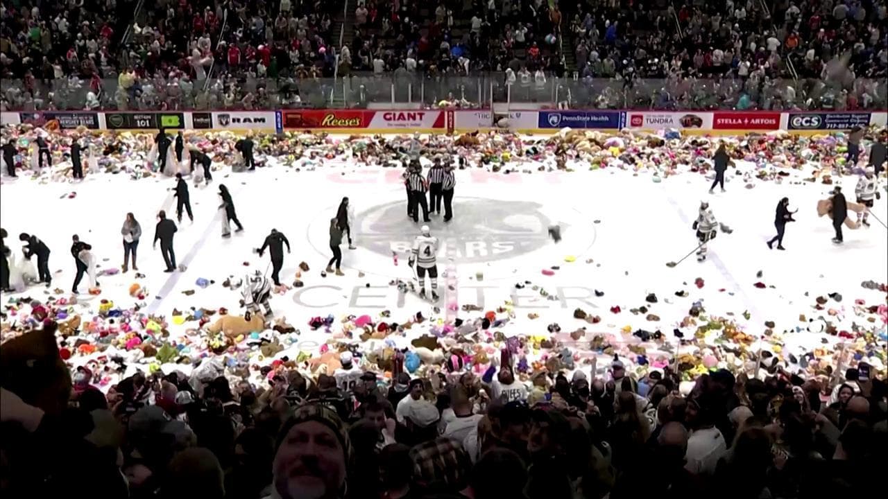 Stati Uniti: una pioggia di orsacchiotti sul campo da hockey, ma è per beneficenza