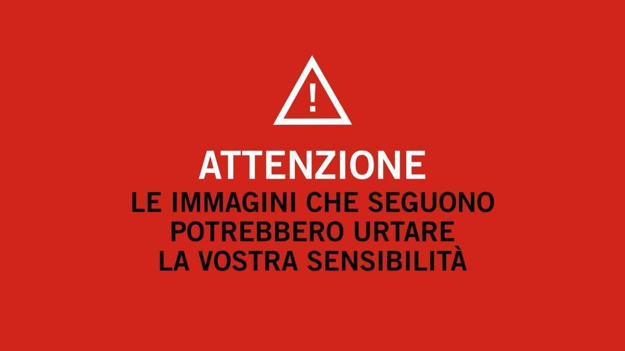 Le violenze nelle carceri russe. Le immagini di denuncia da Gulagu.net