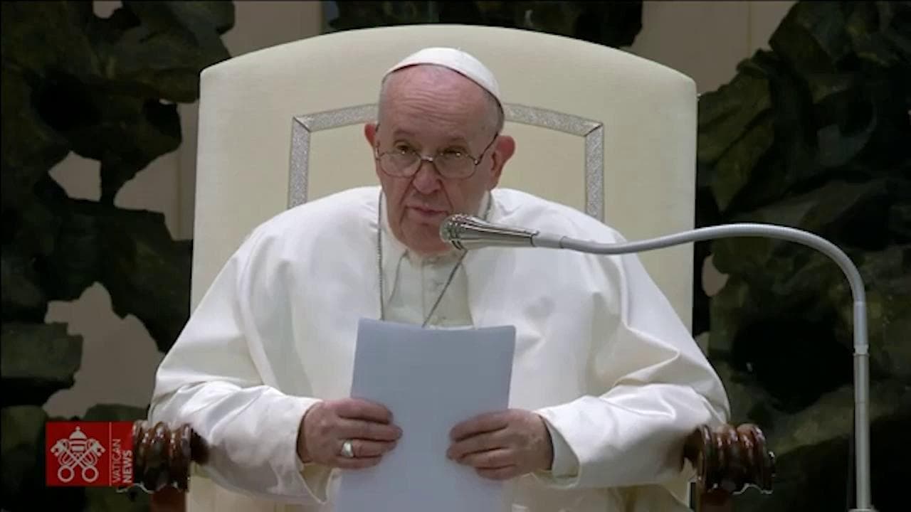 Vaticano, Papa Francesco: "C'è chi non vuole figli, ma ha cani e gatti al loro posto"