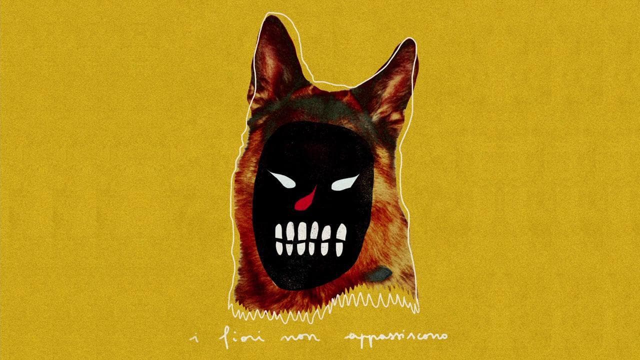 BRAMA - I Fiori Non Appassiscono