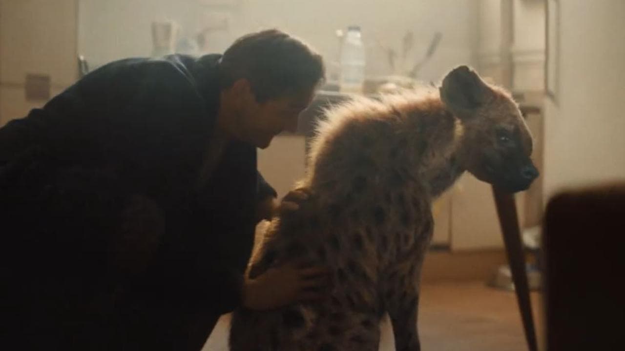 Lo spot delle feste più amato dagli inglesi, i protagonisti sono una iena e il custode dello zoo: la storia diverte e scalda il cuore