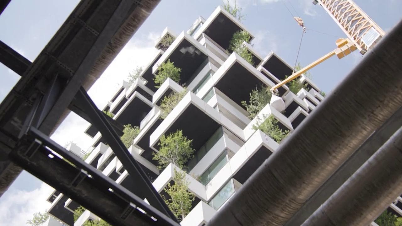 Olanda, il nuovo "bosco verticale" non è destinato ai super ricchi: Boeri reinventa le case popolari