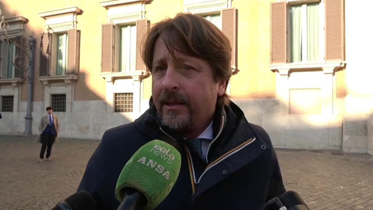 Messina (FdI) sul caso Ilaria Salis: "Non mi preoccupano le catene, ma che sia rispettato il diritto"