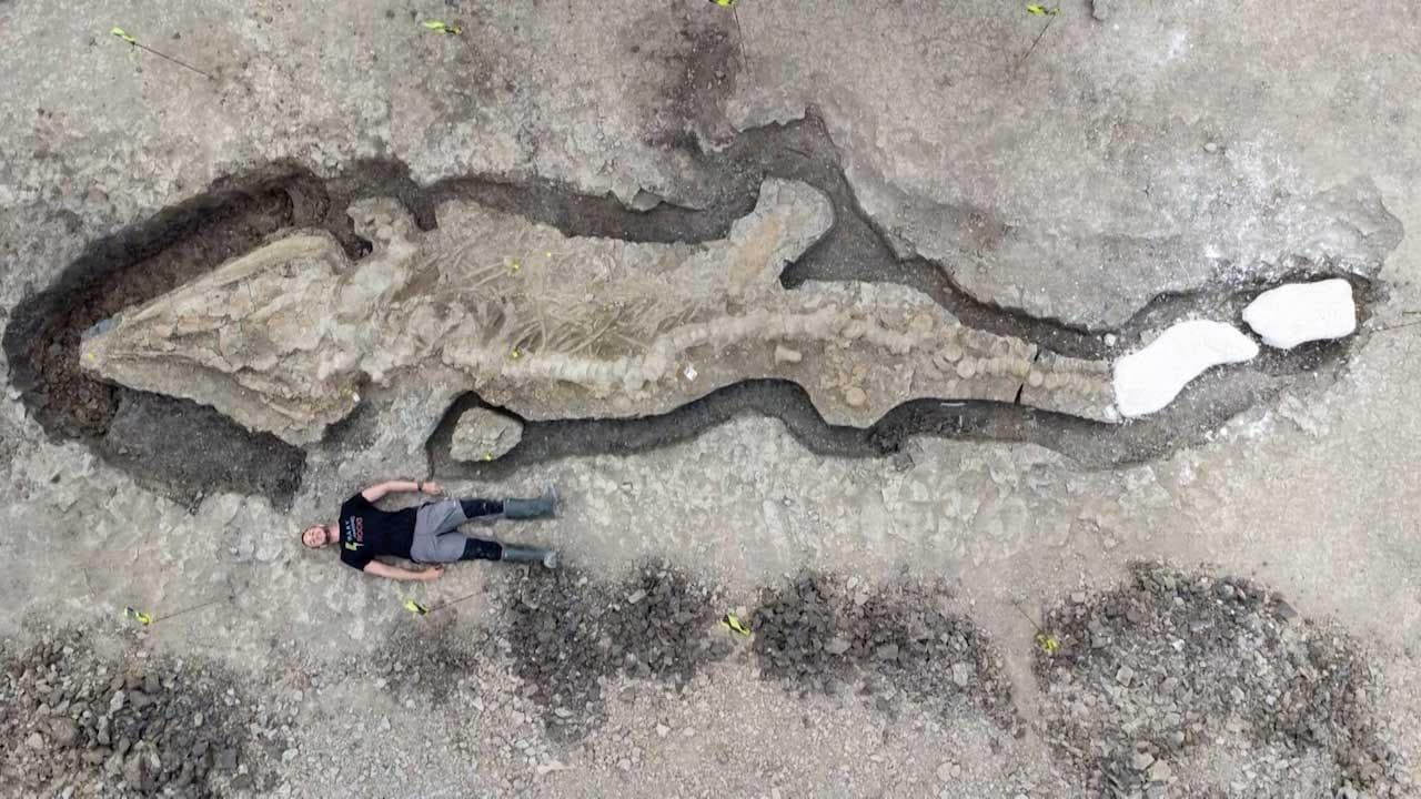 Gran Bretagna, trovato un 'drago marino': ecco il fossile di un ittiosauro di 108 milioni di anni fa