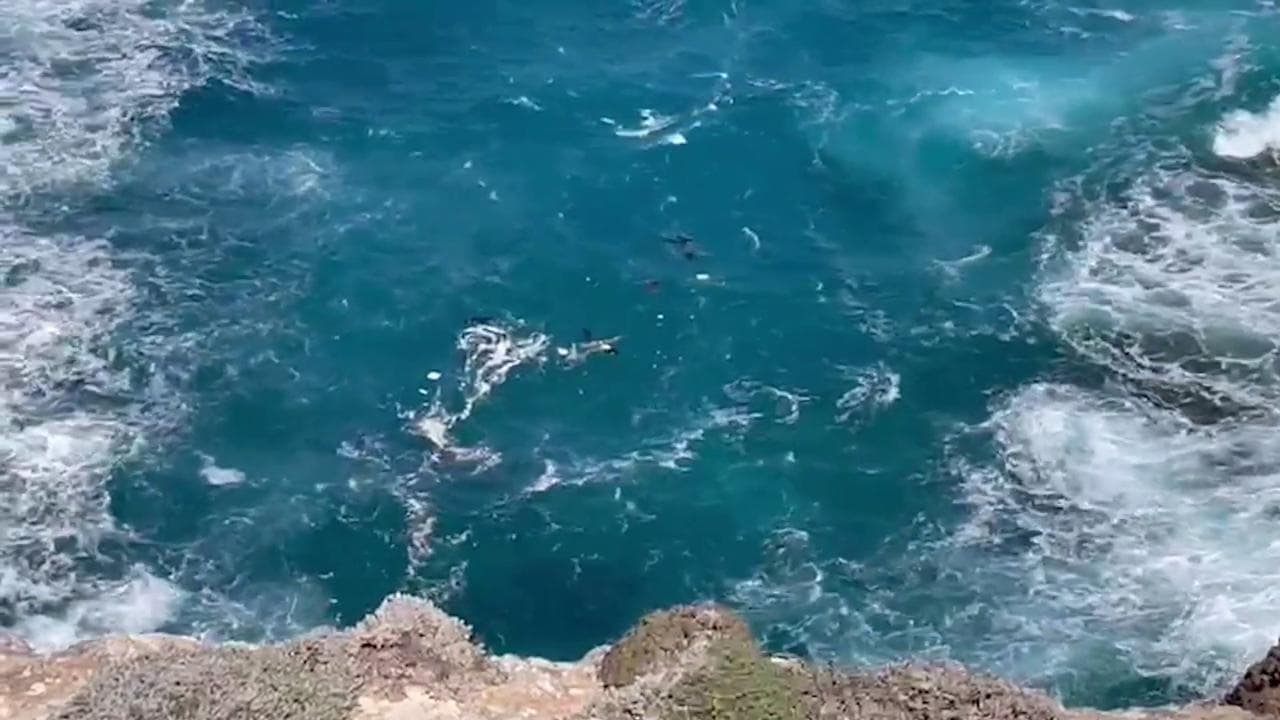 Lampedusa, avvistato in mare il corpo di una donna